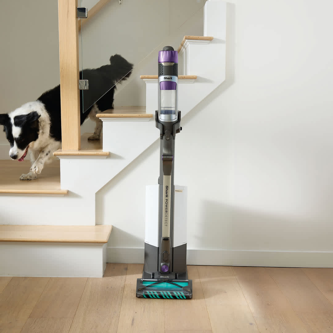 Shark® Cordless Vacuum Cleaners | Wireless & Rechargeable Shark® Cordless Vacuum Cleaners | Wireless & Rechargeable